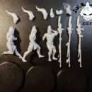 Gachimuchi