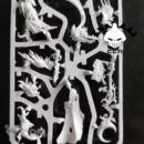 Scargrott the loonking