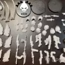 Venatari Custodes
