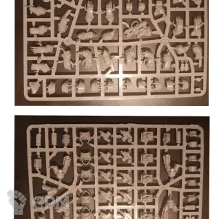 Cataphractii Terminator Squad