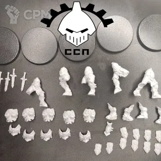 Adeptus Custodes bodies