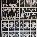 Spider Riders