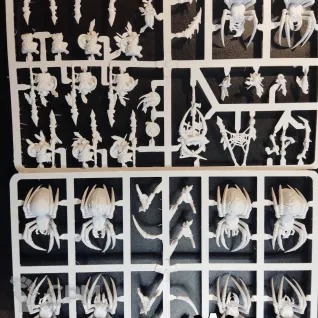 Spider Riders